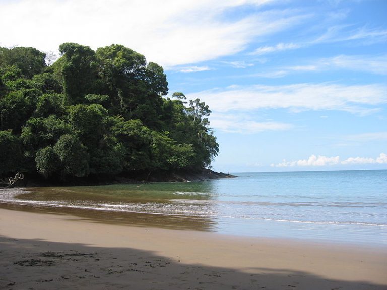 Boca Barranca | Surfing Beaches in Costa Rica