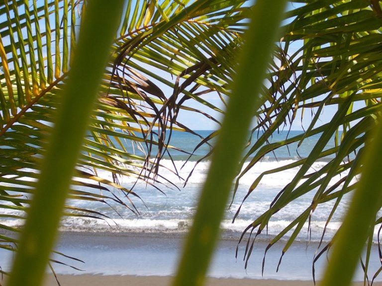 Matapalo | Surfing Beaches in Costa Rica