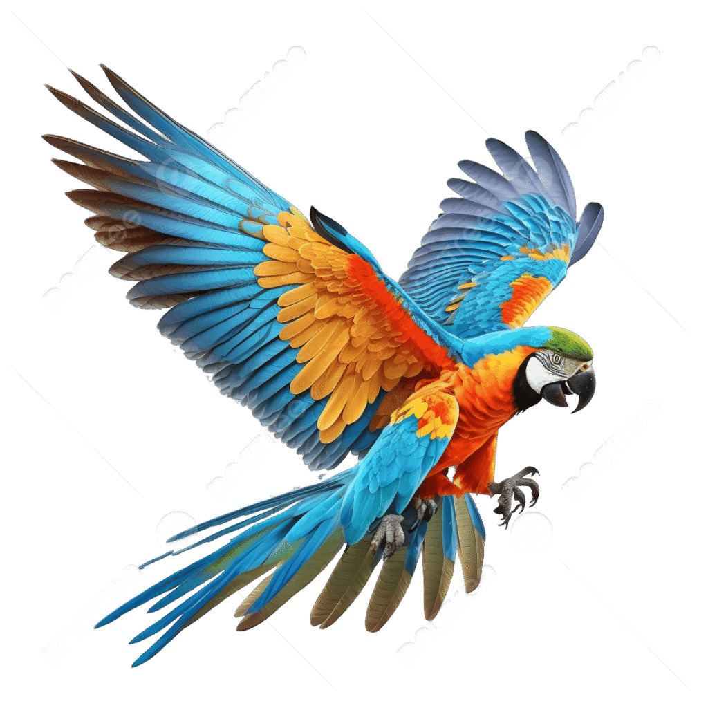 pngtree realistic beautiful orignal nature red parrot png image 9028374 Jewish Center Jaco