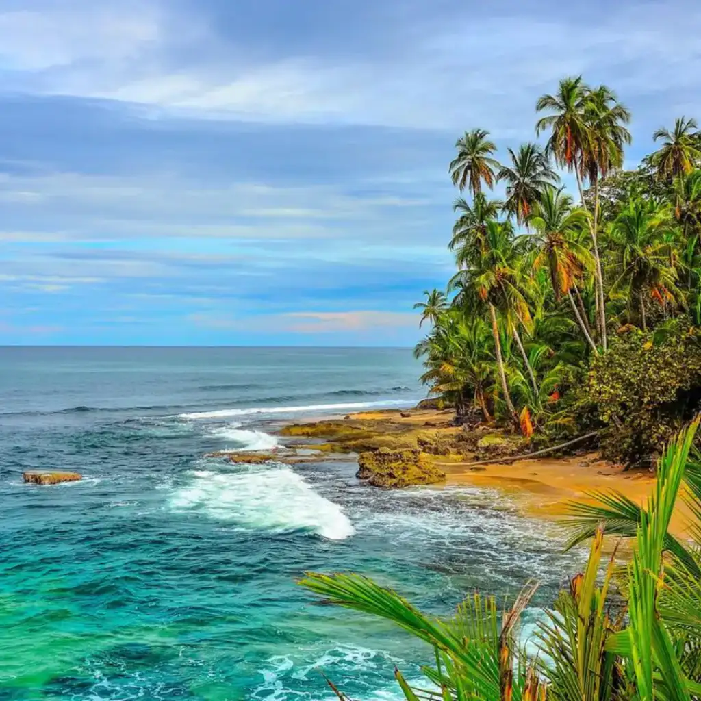 izu puerto viejo Tour